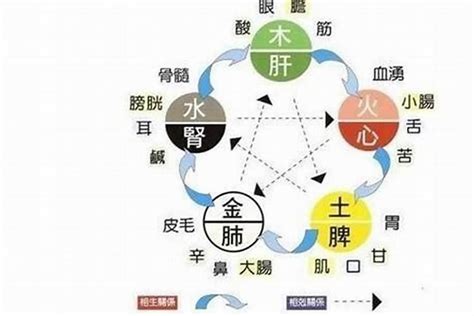 五行缺水姻緣|如何化解五行缺水的姻緣困擾？